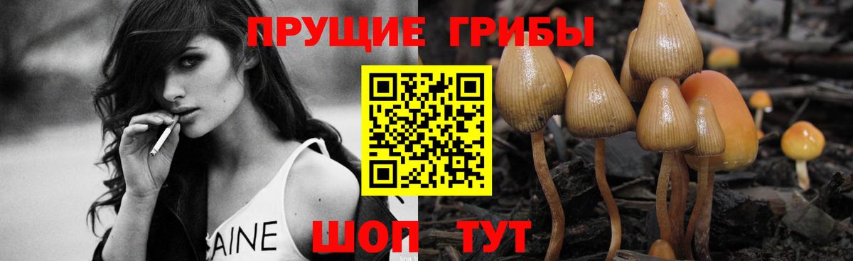 Галлюциногенные грибы мицелий  Вход с VPN  Дедовск 